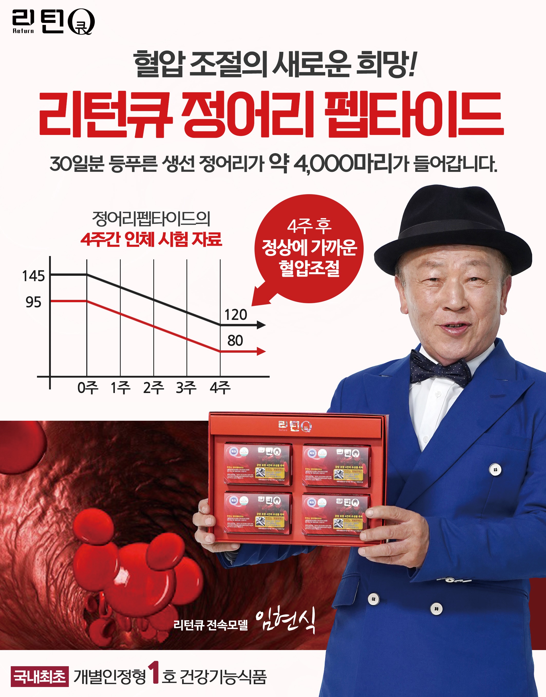 정어리_효능