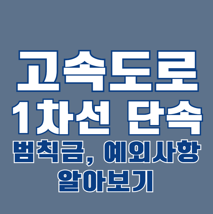 고속도로 1차선 단속