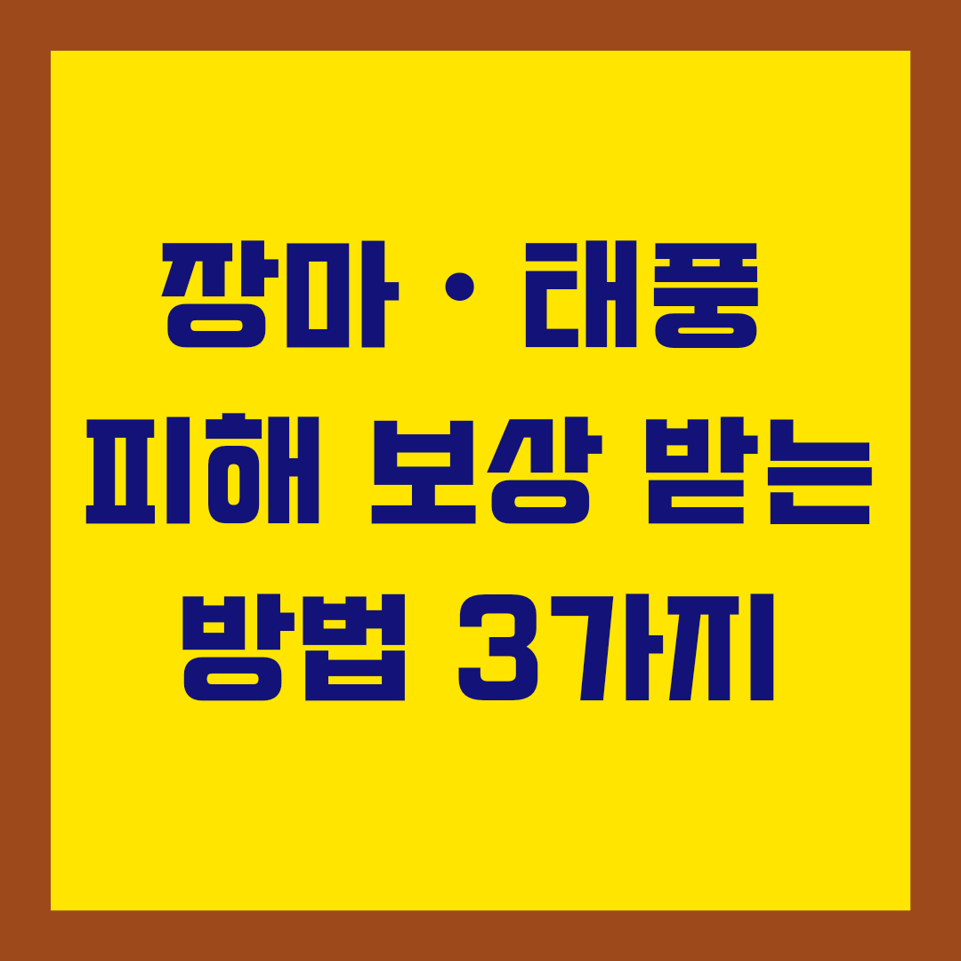  장마ㆍ태풍으로 인한 피해를 보험으로 보상 받는 방법 3가지(자동차침수, 풍수해, 풍수재)