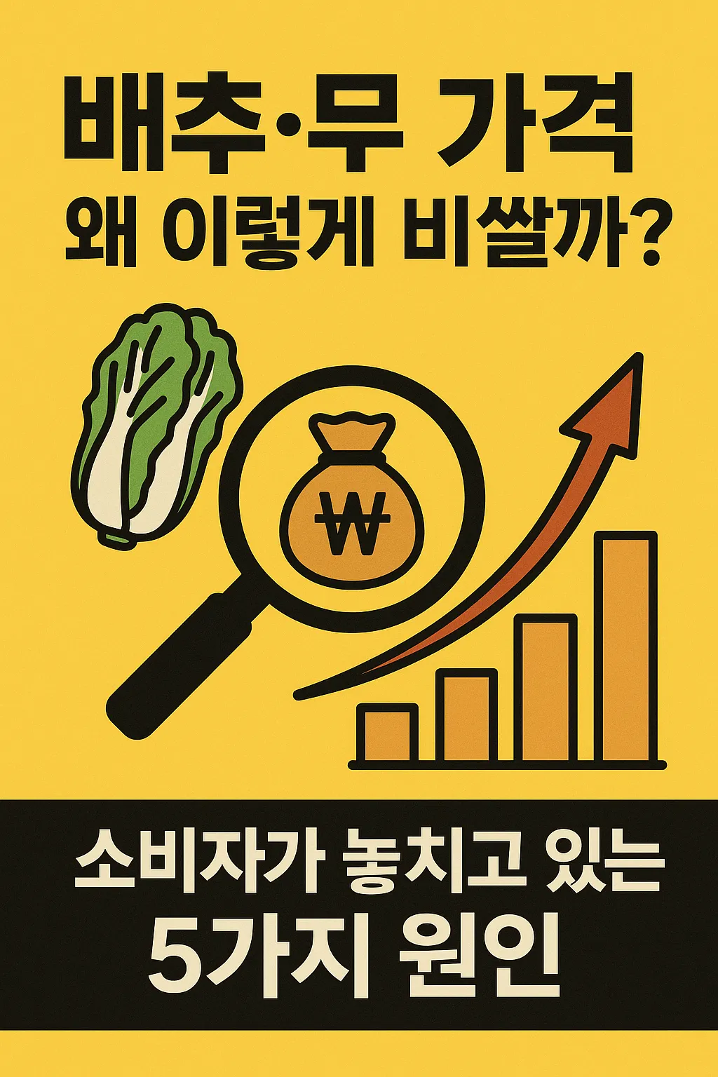 농업경제학 : 배추·무 가격, 왜 이렇게 비쌀까?