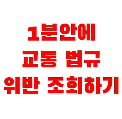  1분안에 교통 법규 위반 조회하기