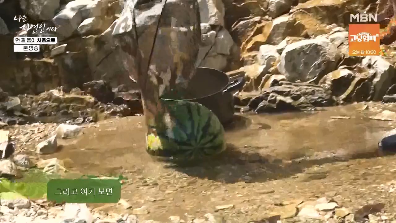 나는 자연인이다.E612.240704p-NEXT.mp4_20240704_195012.748.jpg