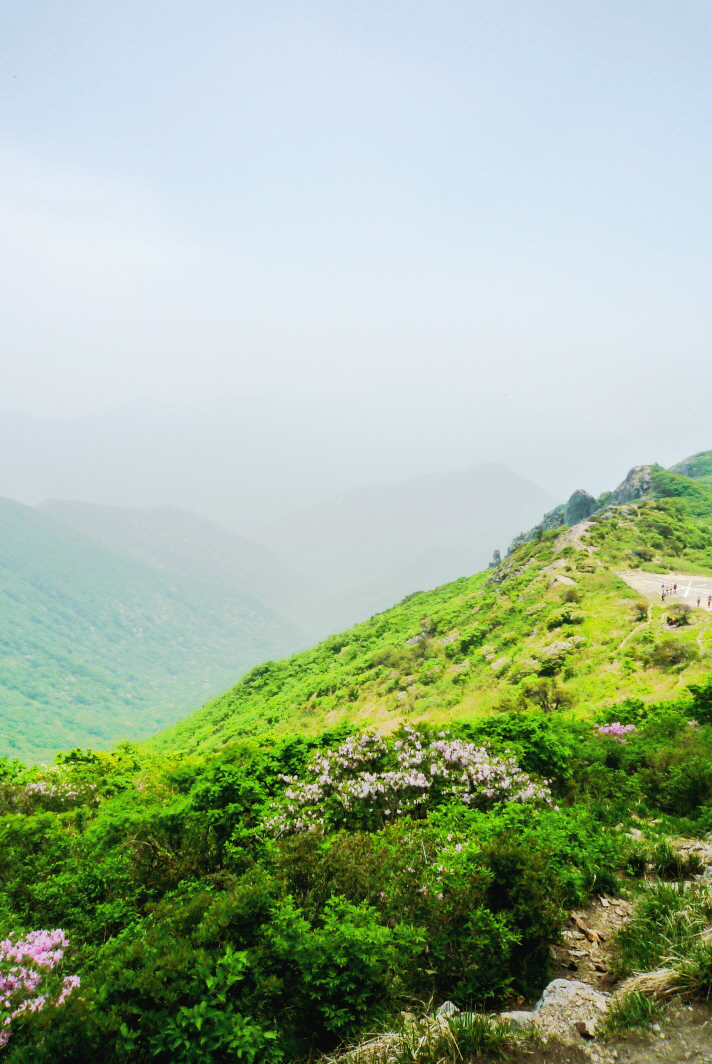 한국 명산 경남 밀양 가지산 등산 mountain hiking