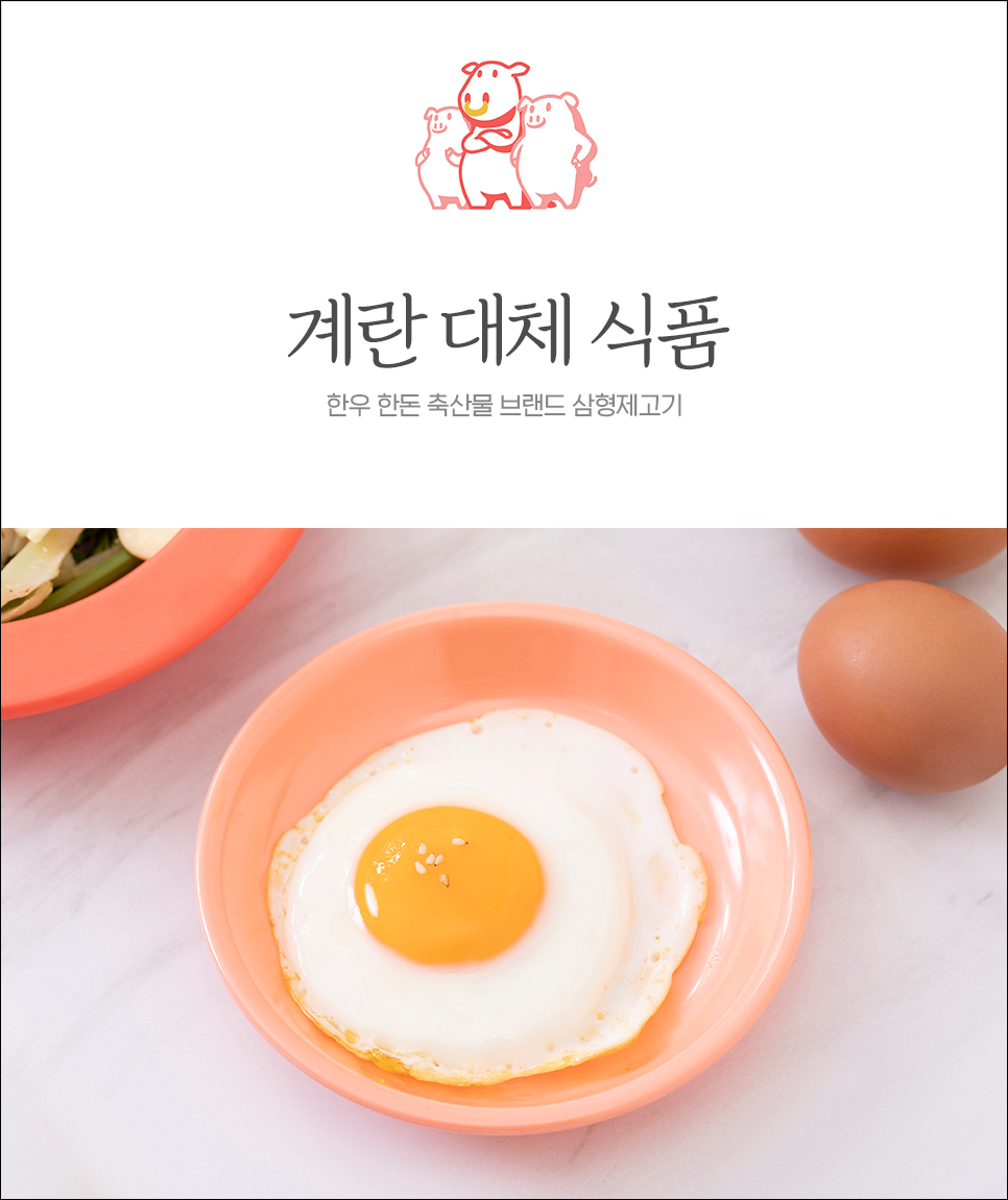  계란 대신 먹으면 좋은 단백질 공급 식품 알아보기