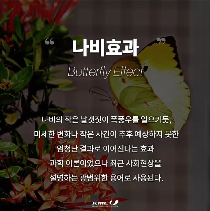  [심리] 11가지 다양한 효과