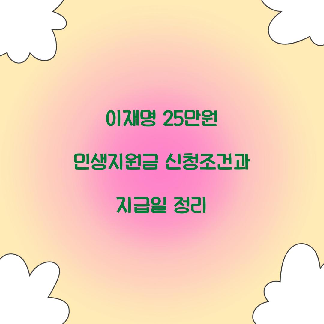 이재명 25만원 민생지원금