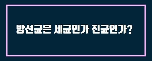  방선균은 세균인가 진균인가? And 가래란?
