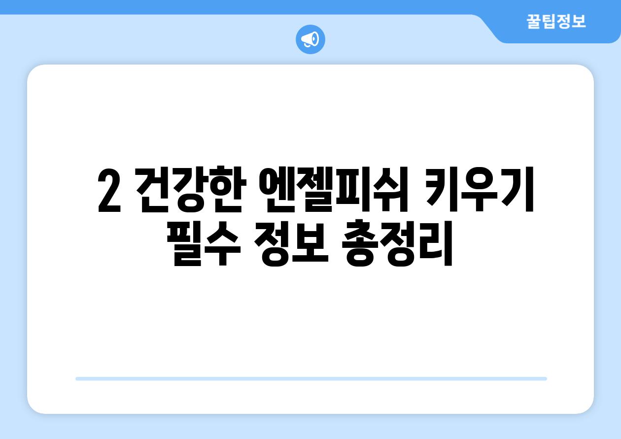 ### 2. 건강한 엔젤피쉬 키우기, 필수 정보 총정리