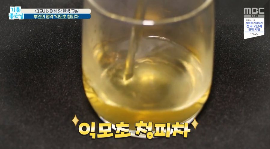  여성암잡는 익모초청피차 효능과 레시피 기분좋은날