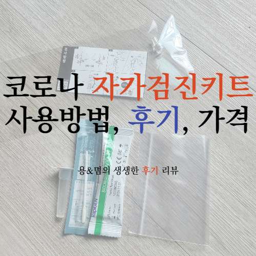  코로나 자가진단키트 후기, 사용방법, 가격