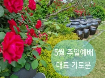 2025년 5월 둘째주 대표기도문_24