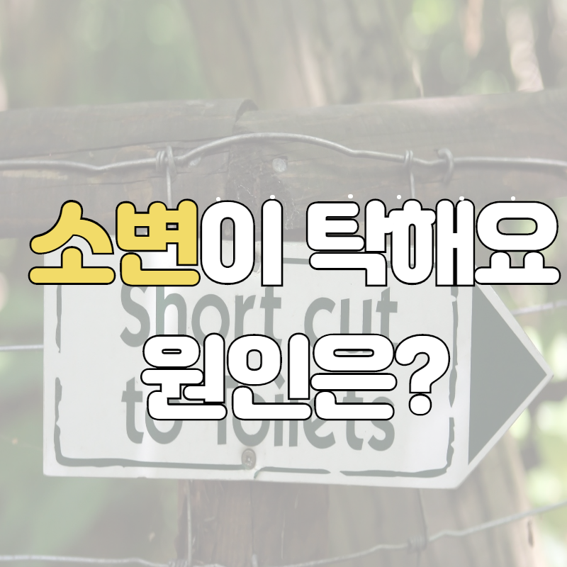  소변색이 탁해요! 남자,여자 소변이 흐리고 탁할 때