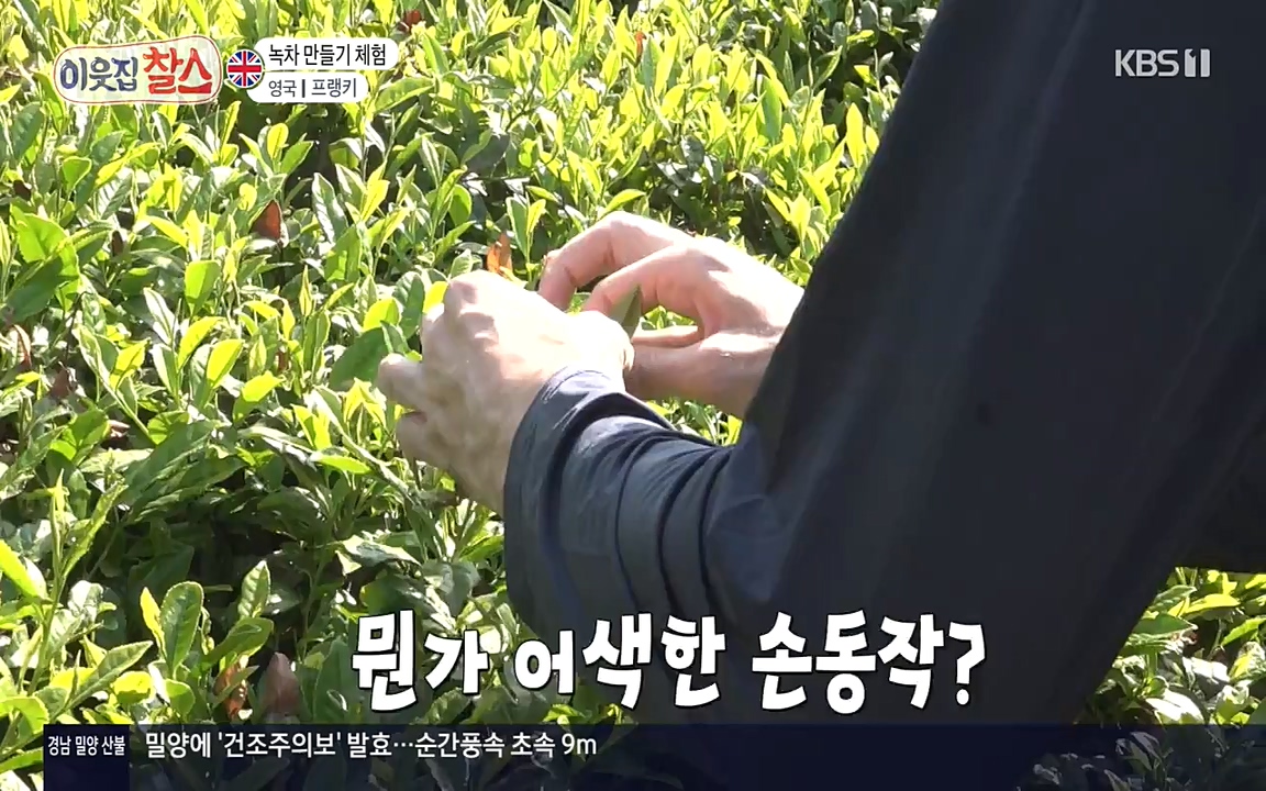 이웃집 찰스.E340.220532p-NEXT.mp4_20220601_175931.213.jpg