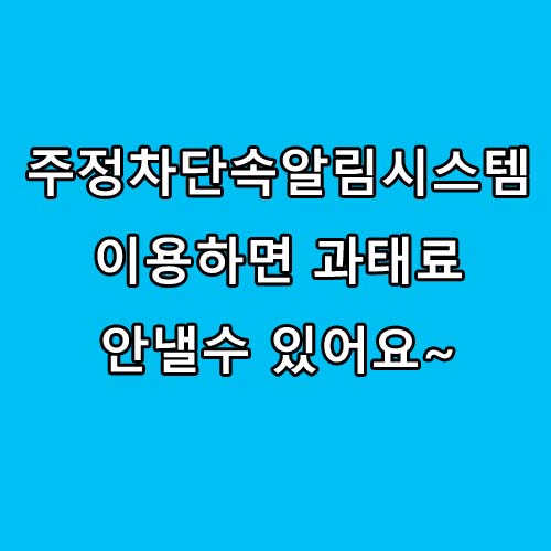  주정차단속알림시스템 : 주정차과태료 아끼는 방법