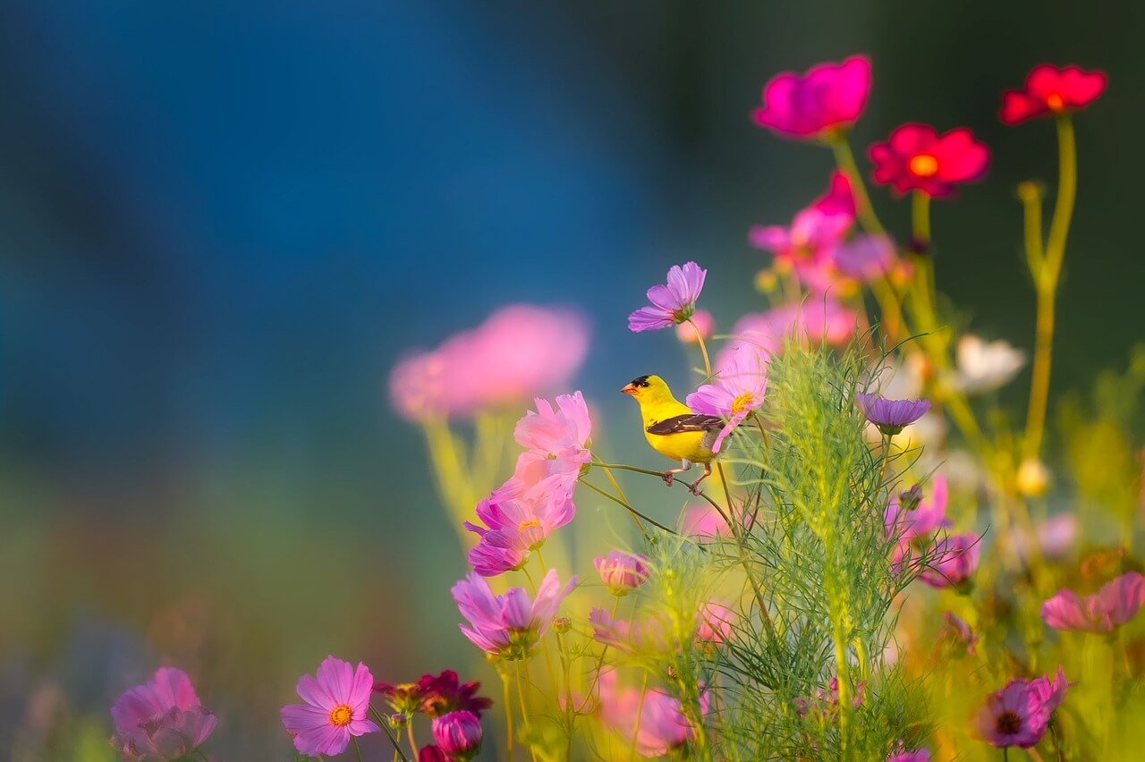 궁성론 사주 명리 알아보기