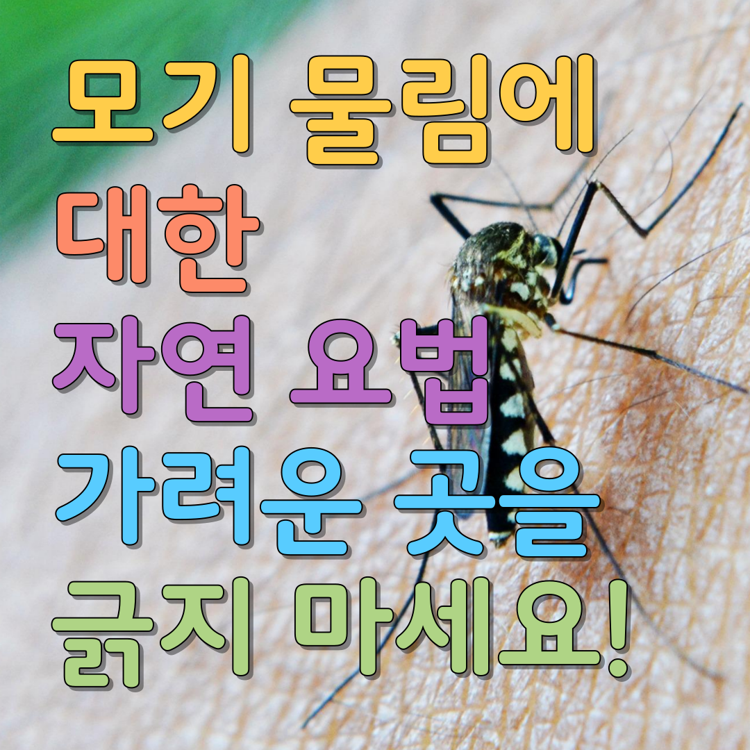 가려운 곳을 긁지 마세요!