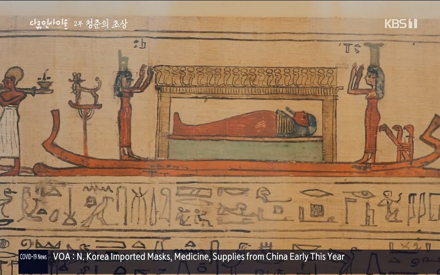 다큐 인사이트.E113.220519p.H264-F1RST.mp4_20220523_205648.401.jpg