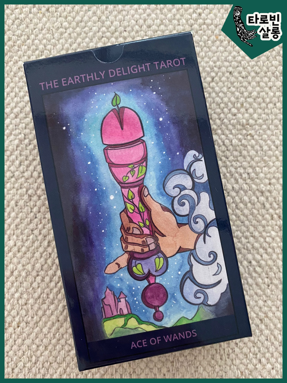  [타로 카드] Earthly delights tarot  세속적인 쾌락 타로 - 성인덱
