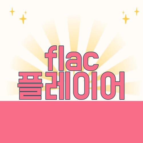 flac 플레이어