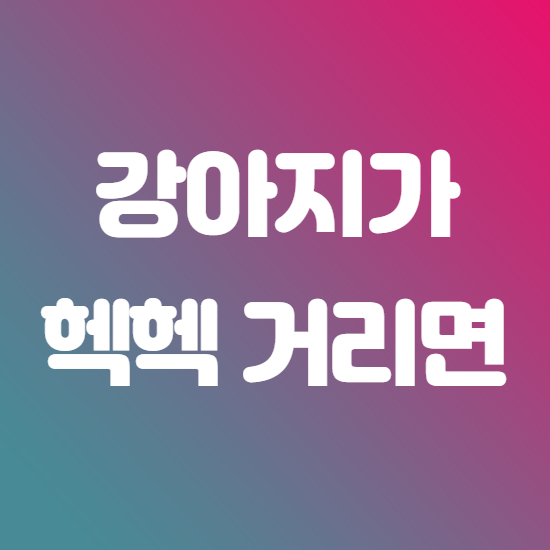  강아지가 헥헥거려요 행동 이유 정리