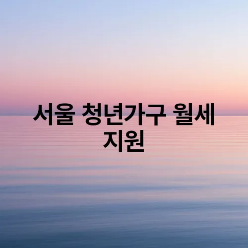 서울 청년가구 월세 지원