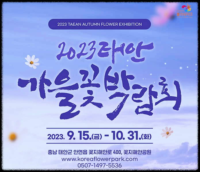  태안 가을꽃박람회 : 원없이 가을꽃을 볼 수 있는 대표 가을꽃 축제
