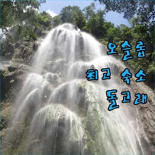 돌고래와 함께 오슬롭 최고의 숙소 T
