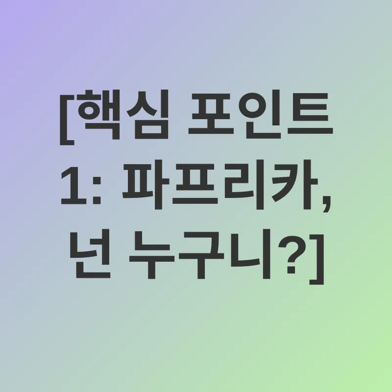파프리카 건강 효능_1