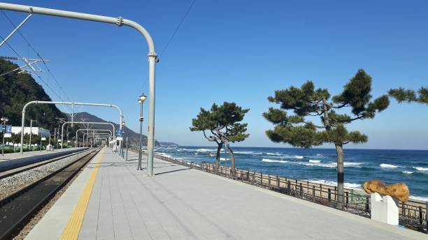 정동진역 앞