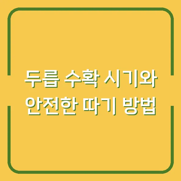 두릅 수확 시기와 안전한 따기 방법
