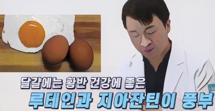 달걀과 눈 건강 정보 루테인 지아잔틴