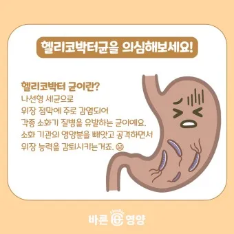 헬리코박터균 제균 치료 치료방법 성공률_14