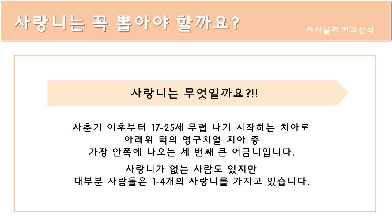 사랑니의 발치 시기는 언제야? 꼭 뽑아야 하나? 10