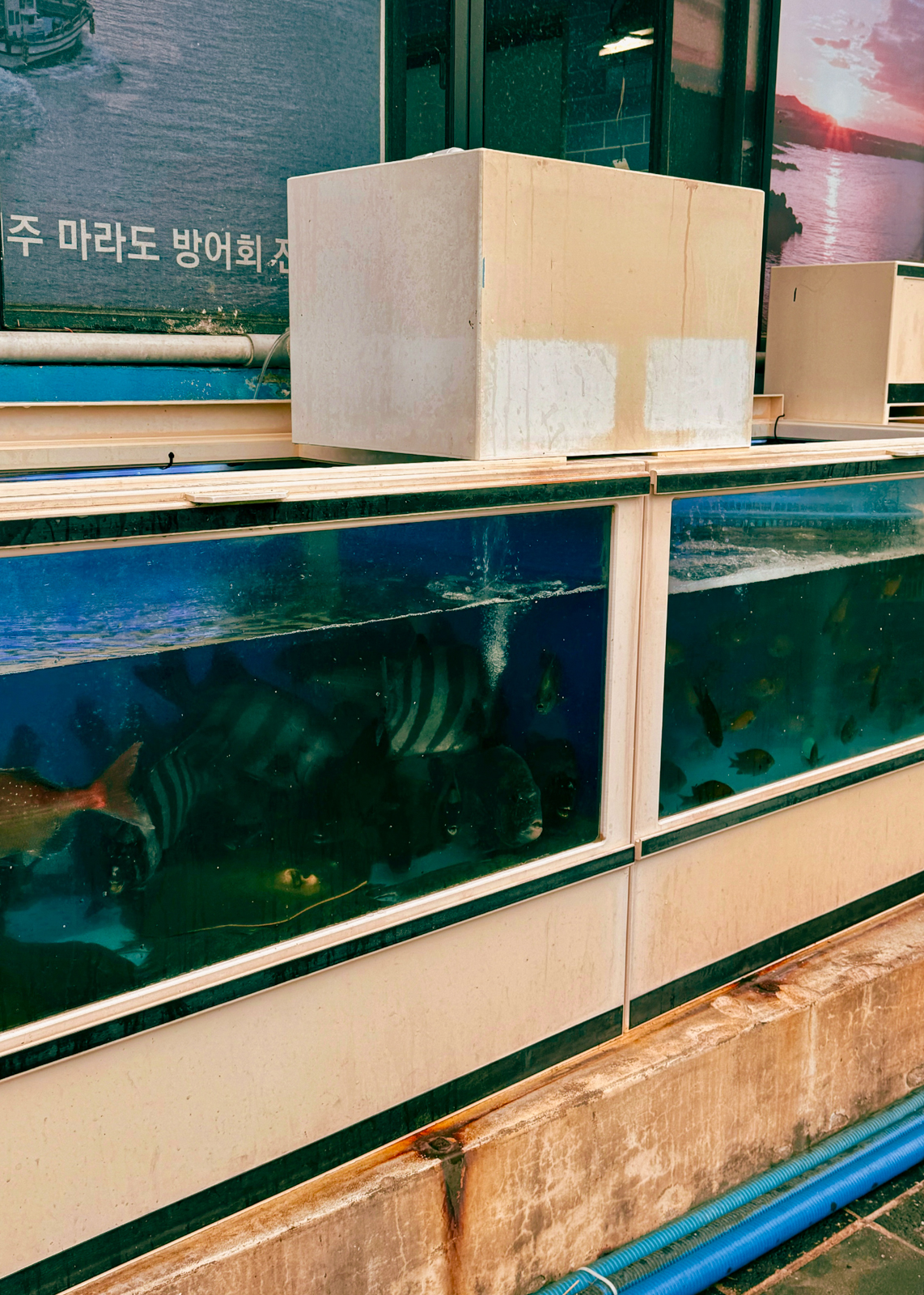해리수산 이미지