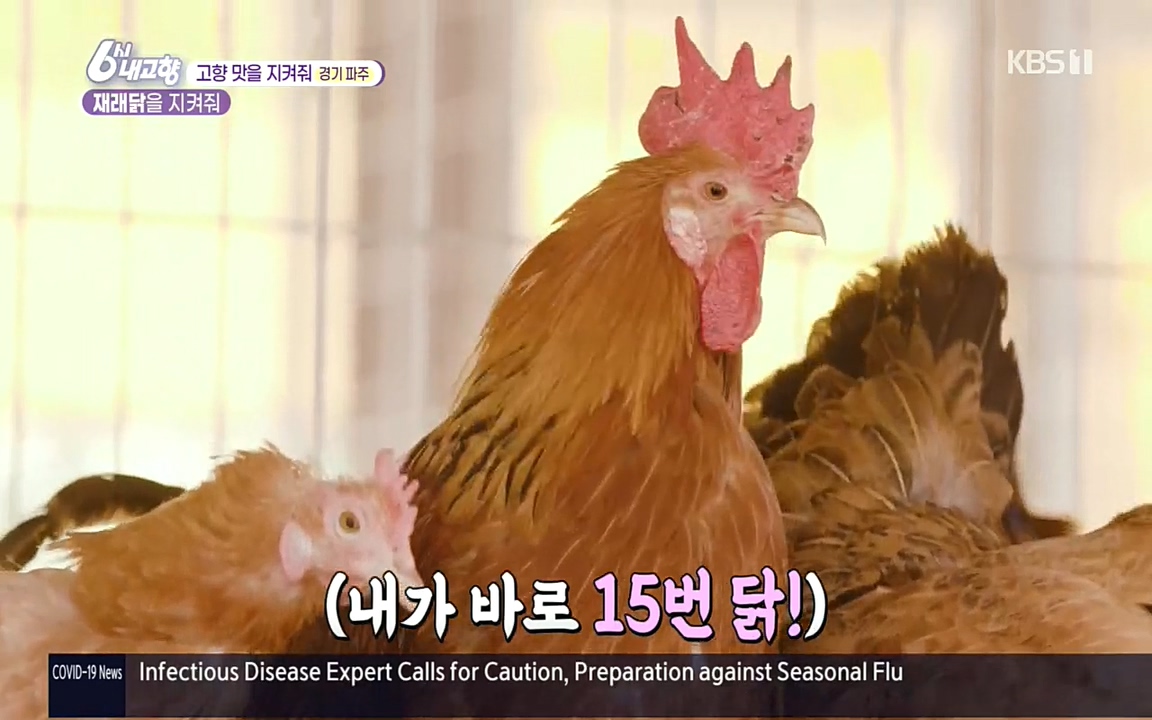 6시 내고향.E7618.220916p.H264-F1RST.mp4_20220920_202551.817.jpg