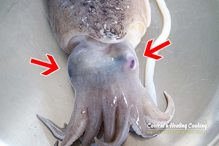 갑오징어숙회, 갑오징어손질법과 16