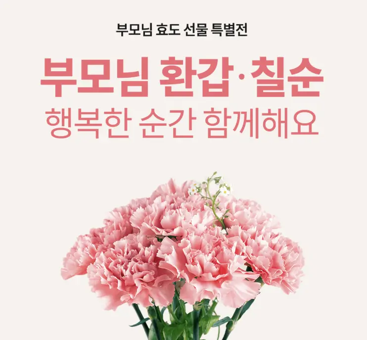 세라젬 부모님 효도 특별전