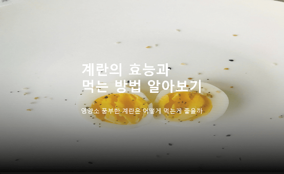  다이어트 산모에게 좋은 계란? 효능 알아보기