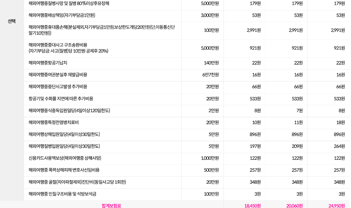 처브여행보험 보장내용 2