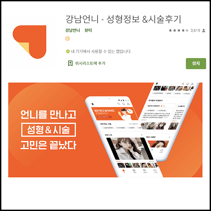  강남언니가 간다, 플랫폼 기업 약진의 시작