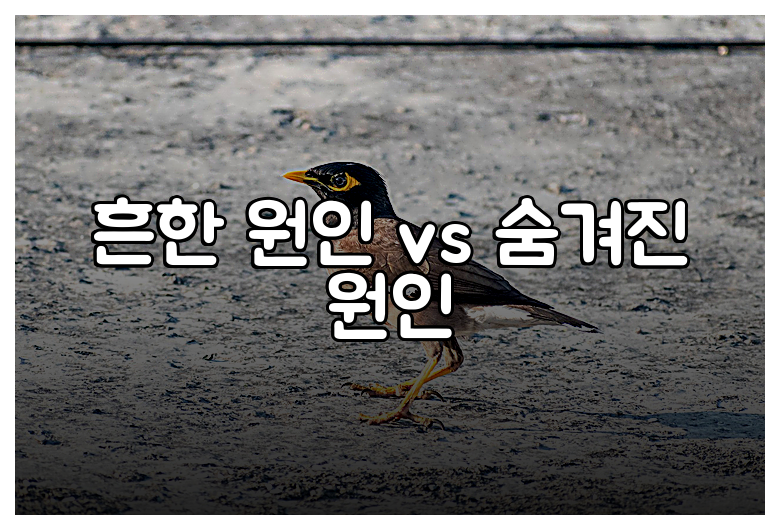 흔한 원인 vs 숨겨진 원인