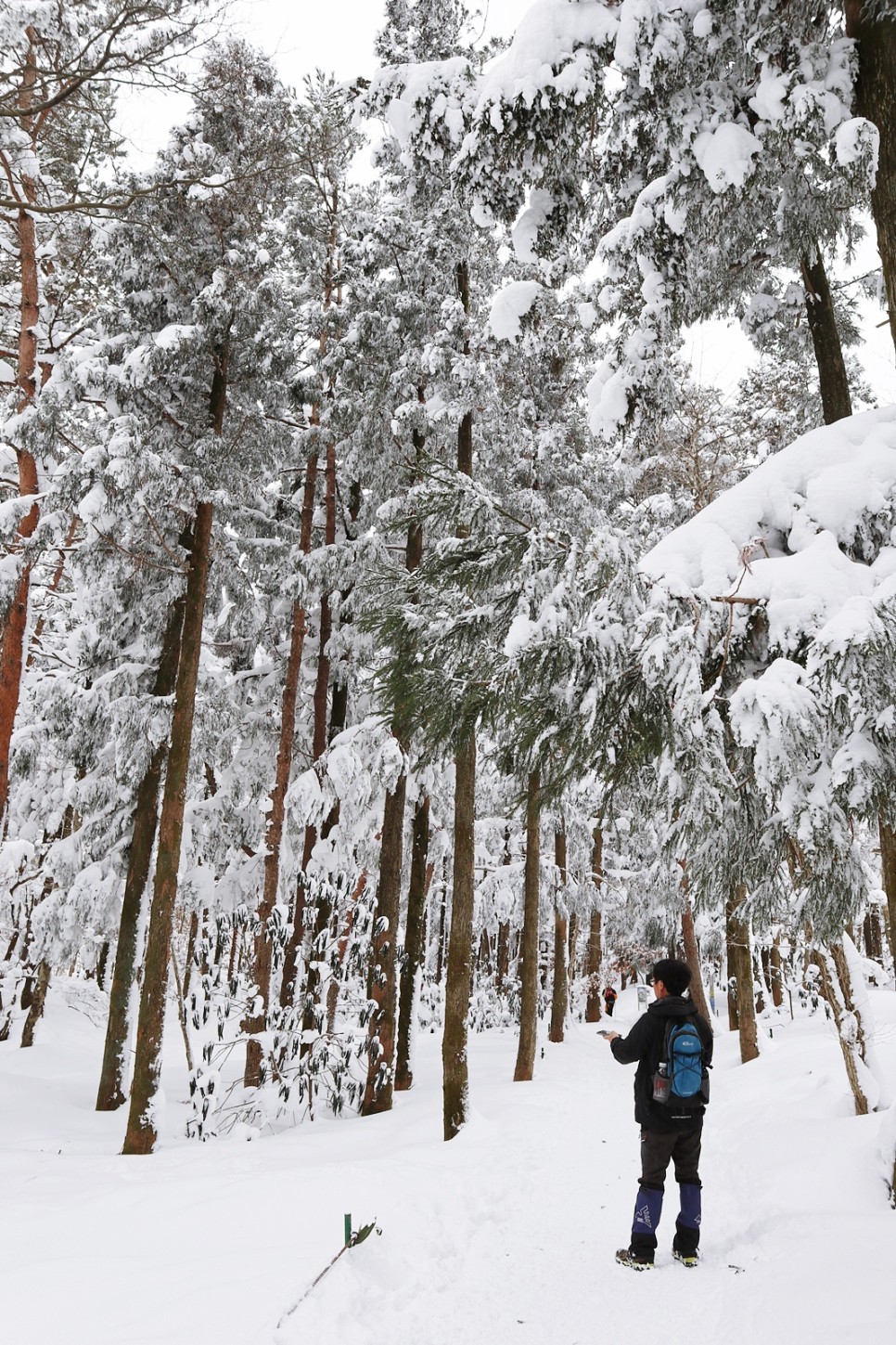 눈쌓인 겨울산 이미지 36