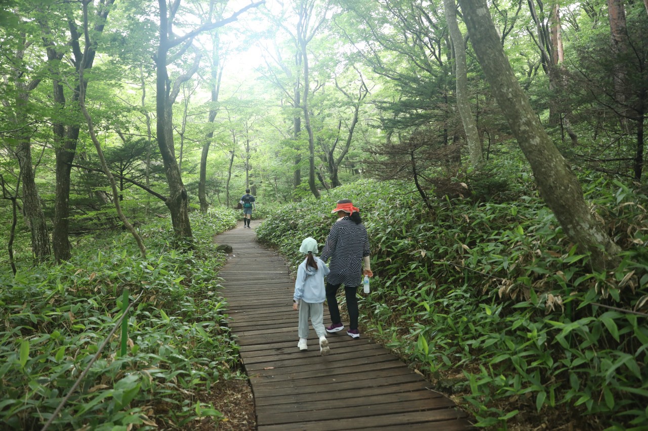 초등학생 아이와 함께 한라산 등반 등산 준비물 영실코스