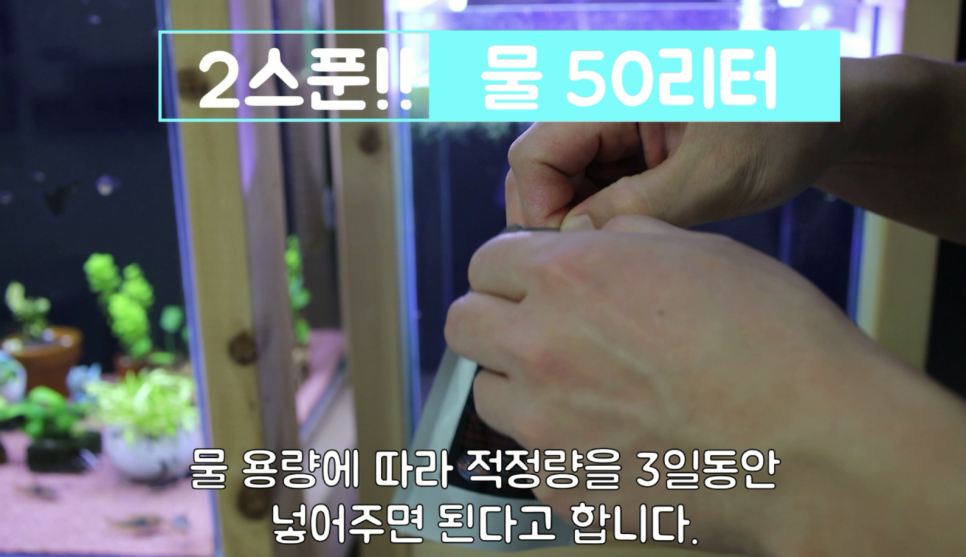 히드라 불청객 제거방법 1