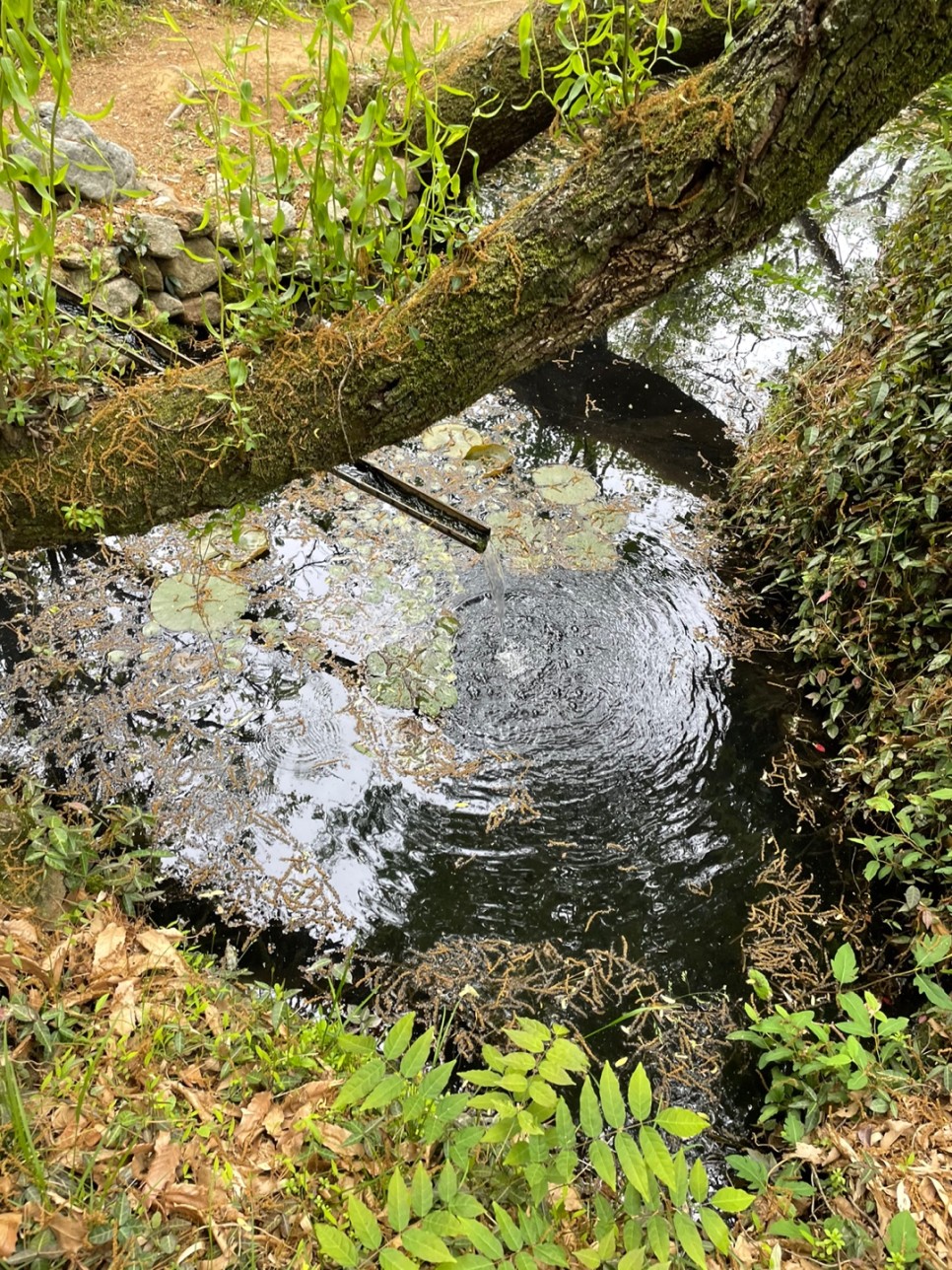 윤스테이 촬영 (구례카페/구례여행) 윤스테이 촬영장소, 12