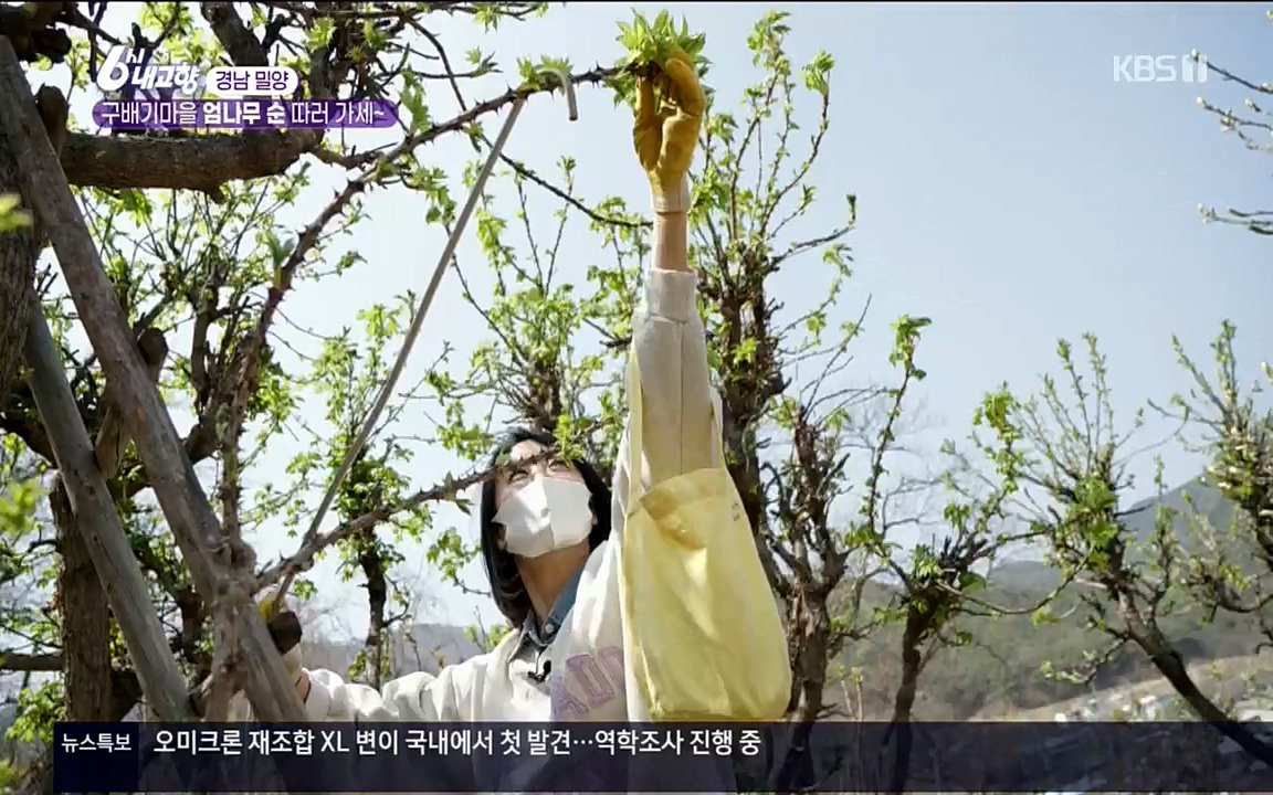 6시 내고향.E7510.220414p.H264-F1RST.mp4_20220419_185733.620.jpg