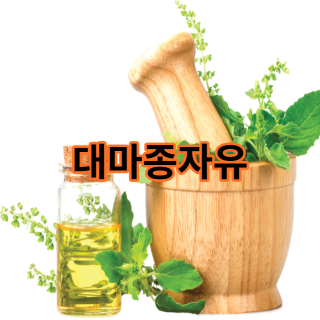  대마종자유(햄프씨드) 효능과 먹는법, 부작용에 대해 알려드립니다.