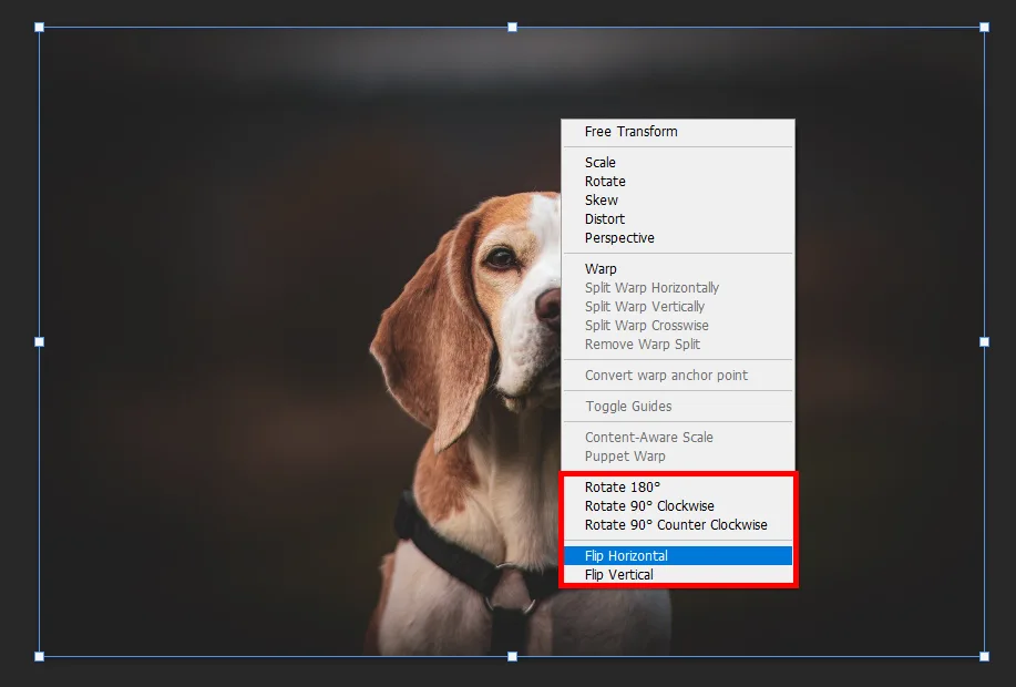 어도비 포토샵에서 ctrl과 T를 누른 뒤 마우스 우측 버튼을 누른 모습