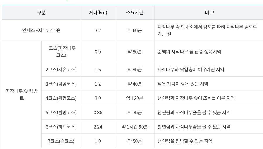 인제 자작나무숲 속삭이는자작나무숲 이용 안내