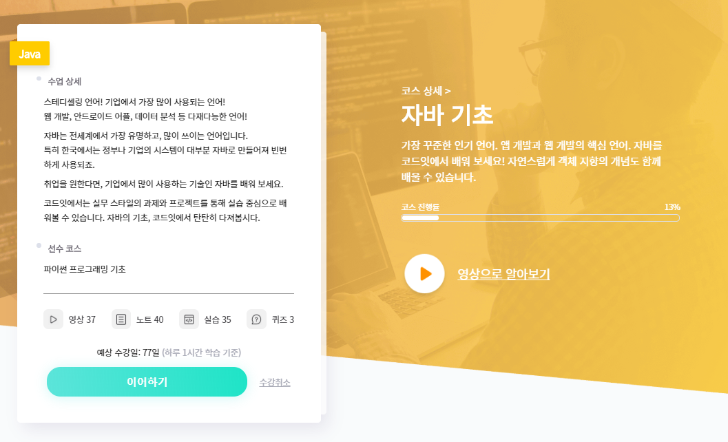  코드잇 리뷰 : 코드잇으로 초보자 코딩 배우기